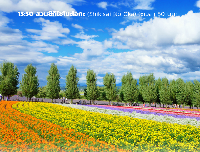 13:50 สวนชิกิไซโนะโอกะ (Shikisai No Oka) ใช้เวลา 50 นาที
