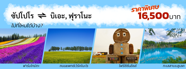 บริการรถพร้อมคนขับ ซัปโปโร บิเอะ ฟุราโนะ 1 วัน ราคาพิเศษ 16,500บาท