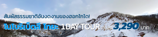 สัมผัสธรรมชาติอันงดงามของฮอกไกโด! ฮอกไกโด โนโบริเบ็ตสึ โทยะ 1DAY TOUR