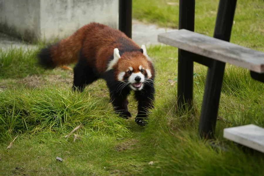 Higashiyama Zoo and Botanical Gardens