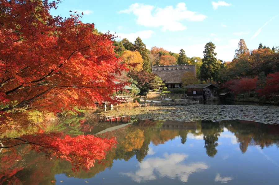 Tokugawaen Garden & Tokugawa Art Museum