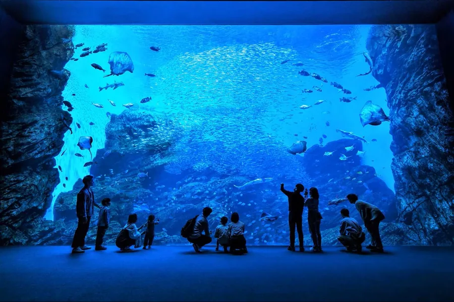 Sendai Umino-Mori Aquarium