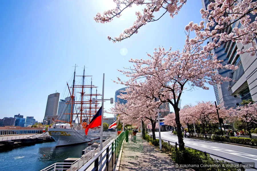 Nippon Maru Memorial Park