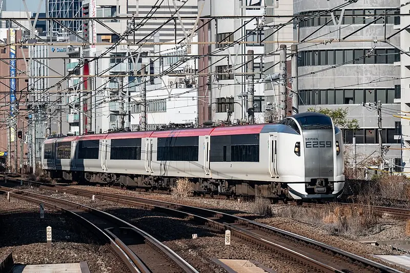 Narita Express (N'EX) (Narita ↔ Tokyo/Shinjuku/Yokohama)