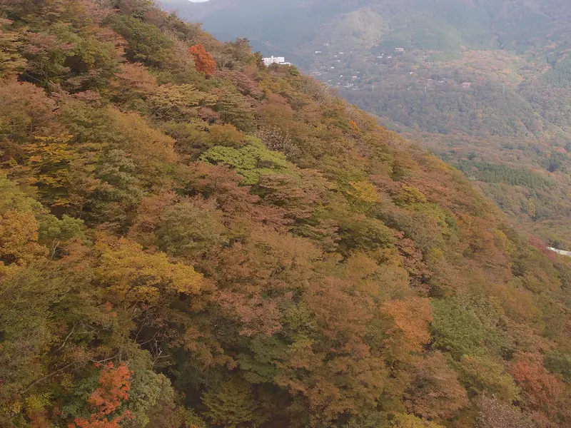 Hakone Free Pass
