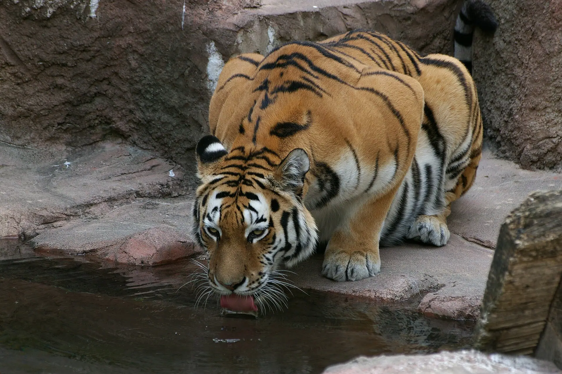 Sapporo Maruyama Zoo