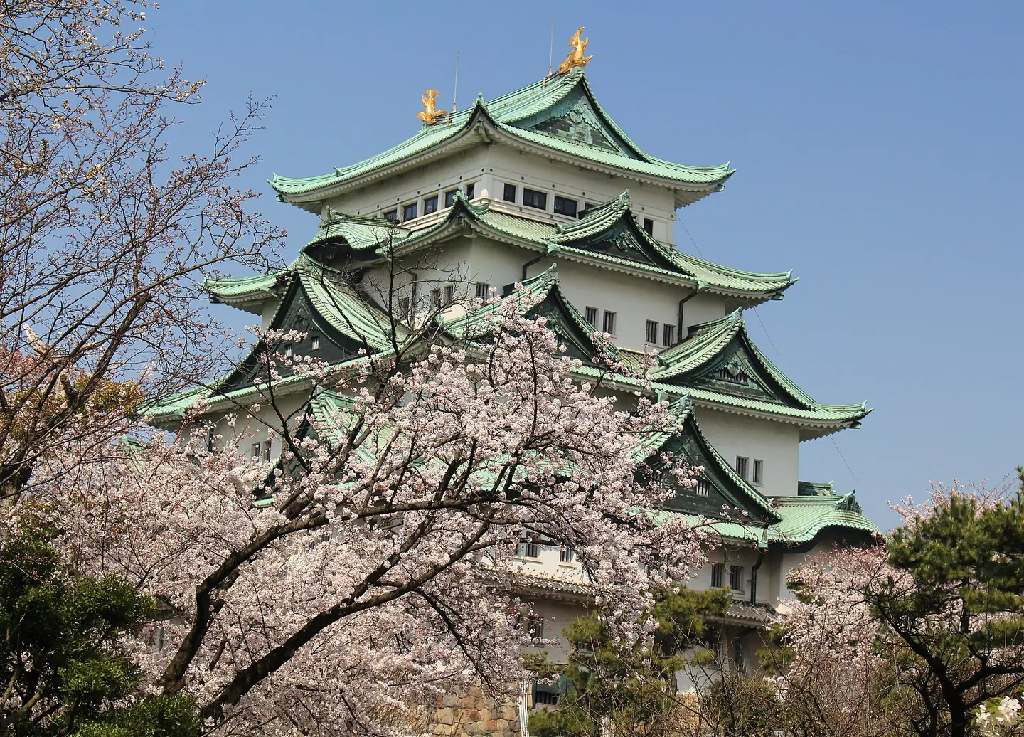 Nagoya City Pass (2 Days)