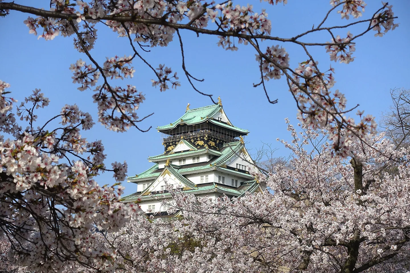 Osaka Amazing Pass (E-ticket)