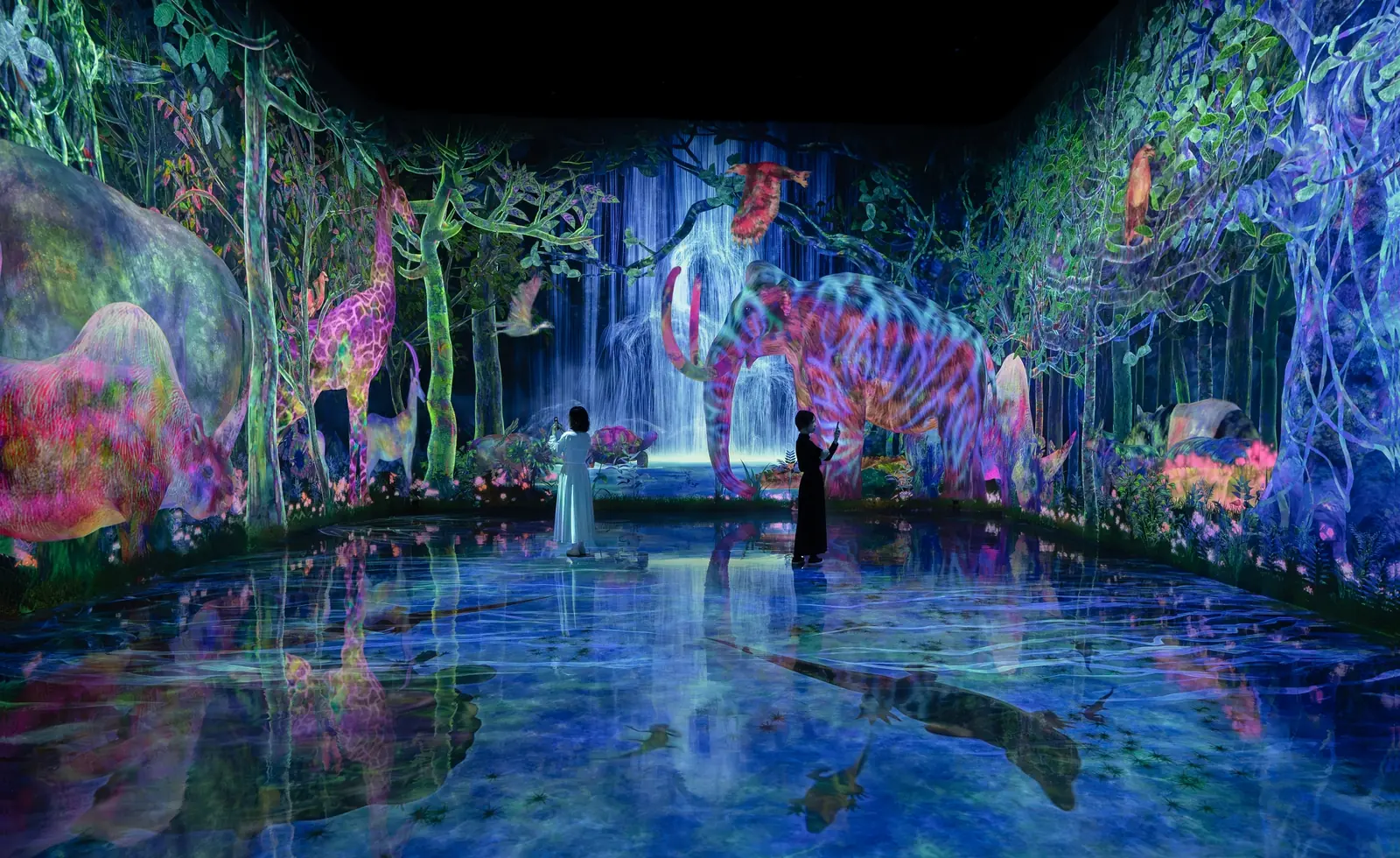 ห้องจัดแสดงของ teamLab Planets TOKYO มีภาพสัตว์และน้ำตกสะท้อนบนผืนน้ำ (ภาพ: 株式会社PLANETS)